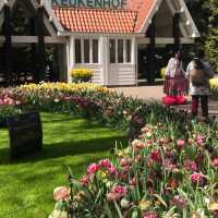 Keukenhof Gardens, Netherlands – Tulip Blossom Festival