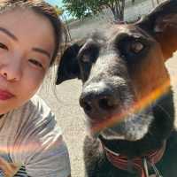 法國南部無遊客既沙灘