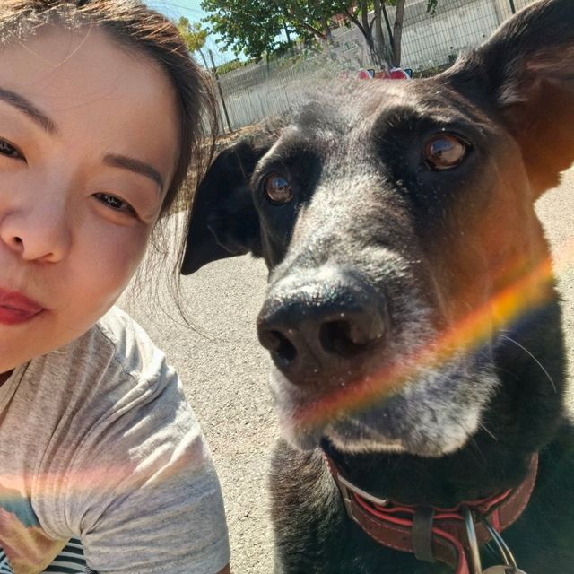 法國南部無遊客既沙灘