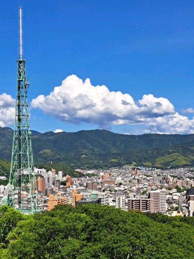 【松山城:愛媛県松山市】松山市のシンボル!!132mの勝山という山の上にあるお城🏯