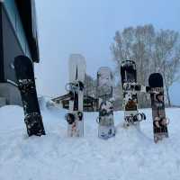 🏂❄️⛷️新雪谷滑雪場🎠冬季運動愛好者的天堂🏂❄️⛷️