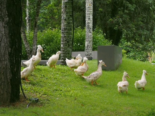 ที่พักเชียงใหม่ ดีต่อใจมาก