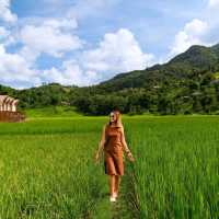 ที่พักที่ใกล้ชิดกับทุ่งนา กลางหมู่บ้านสะปัน น่าน
