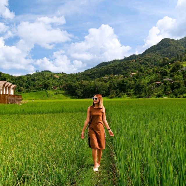 ที่พักที่ใกล้ชิดกับทุ่งนา กลางหมู่บ้านสะปัน น่าน