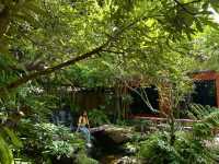 Oasis ใจกลางเมืองระยอง B‘forest Cafe Rayong 🍃