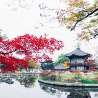 Colorful Autumn Of Gyeongbokgung Palace In Seoul 
