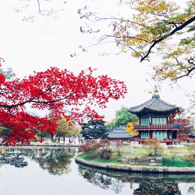 Colorful Autumn Of Gyeongbokgung Palace In Seoul 