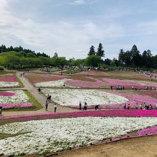 羊山公園