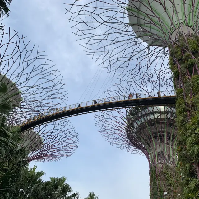 Gardens by the Bay