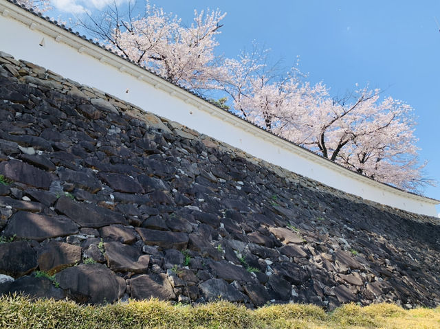 山梨観光　舞鶴城公園