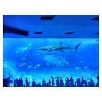 沖繩美麗海水族館：探索海洋的奇幻世界準備好潛入沖繩美麗海水族館的奇幻海洋世界吧！ 