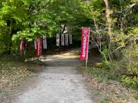 福岡遊太宰府天滿宮⛩️