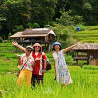 นาขั้นบันได บ้านป่างเปียง เชียงใหม่