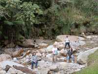 Spring Garden Kundasang, Beautiful floral and landscape