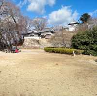 【岡山】天守が残る唯一の山城🏯備中松山城