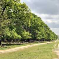 Nature’s Haven in Urban Richmond
