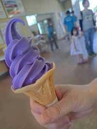 【ぜるぶの丘:北海道美瑛町】鮮やかなお花がたくさん見れるぜるぶの丘🌷