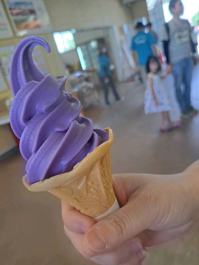 【ぜるぶの丘:北海道美瑛町】鮮やかなお花がたくさん見れるぜるぶの丘🌷