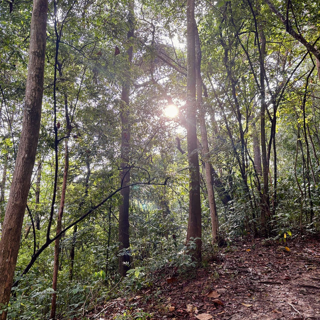 "Discover Nature with a Scenic Hike at Bukit Kepayang, Seremban"