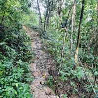 "Discover Nature with a Scenic Hike at Bukit Kepayang, Seremban"