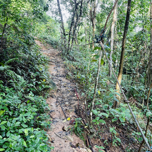 "Discover Nature with a Scenic Hike at Bukit Kepayang, Seremban"