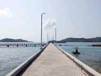ล่องเรือดูปลา เกาะแสมสาร