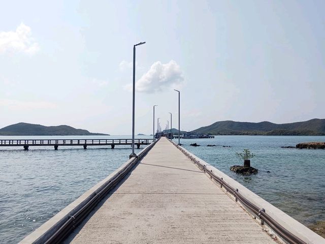 ล่องเรือดูปลา เกาะแสมสาร