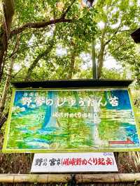 【京都府】一瞬で京都の情緒を感じる神社
