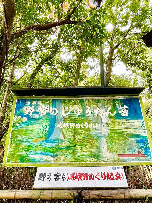 【京都府】一瞬で京都の情緒を感じる神社