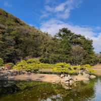 旭山三浦庭園：小橋流水中的日式幽靜 🌸🏞️