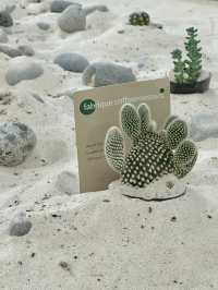 도심 속 작은 사막 감성 💚 역삼동의 블루리본 맛집 카페투어 추천 🌵