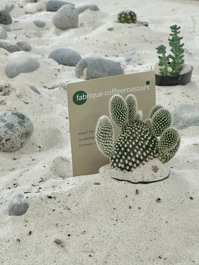 도심 속 작은 사막 감성 💚 역삼동의 블루리본 맛집 카페투어 추천 🌵