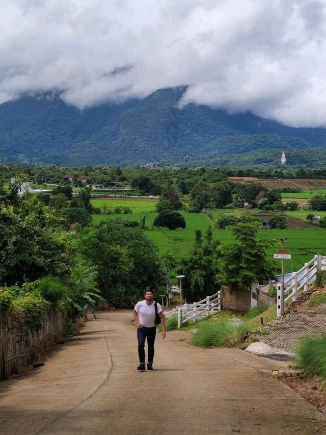 Chiang Dao Mountain View 