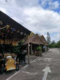 9 Tamarind Cafe ร้านมะขามส่งตรงจากฟาร์ม
