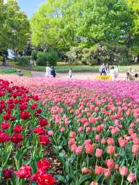 【岐阜】季節ごとに変わる絶景✨木曽三川公園
