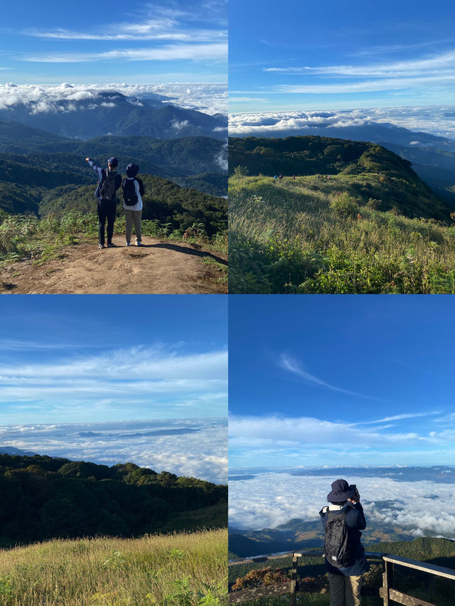 กิ่วแม่ปาน | ดอยอินทนนท์ 🚶🏻🌿🌳🥾