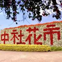 一年四季都能賞花「中社觀光花市」🌹
