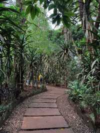 เที่ยวน้ำตก เล่นzipline ที่ลาวใต้