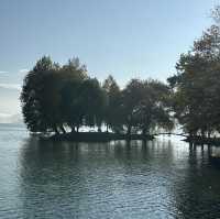 楚格湖畔的美麗公園
