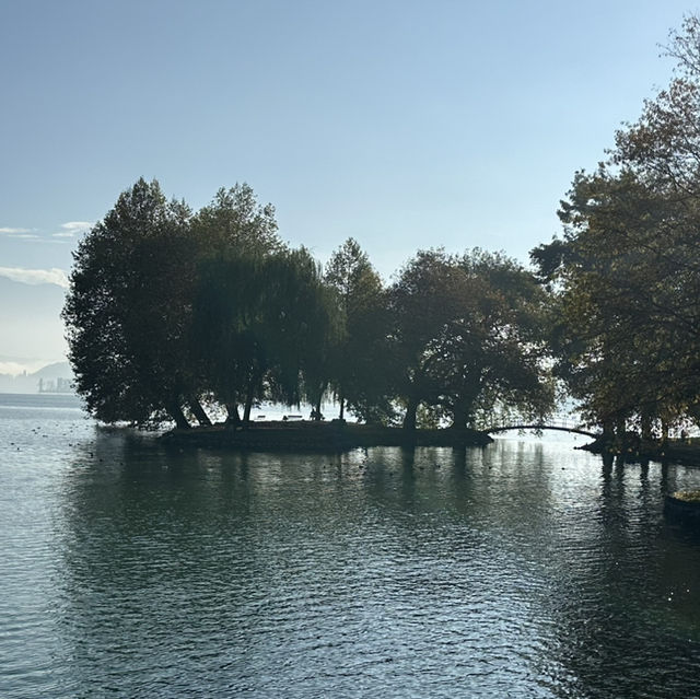 楚格湖畔的美麗公園