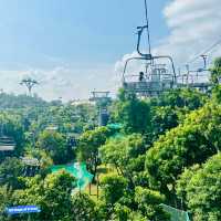 Thrill Seeker's Paradise: Skyline Luge Singapore
