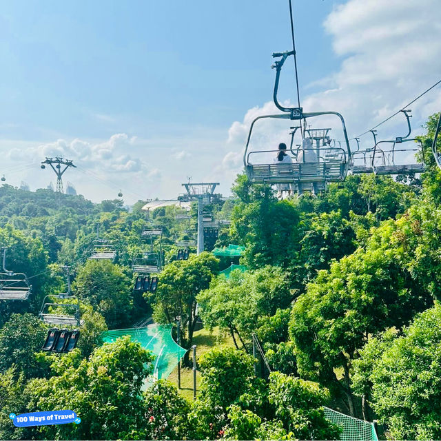 Thrill Seeker's Paradise: Skyline Luge Singapore