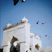 Dargah Hazratbal: Srinagar’s Sacred Sanctuary on Dal Lake 🕌✨