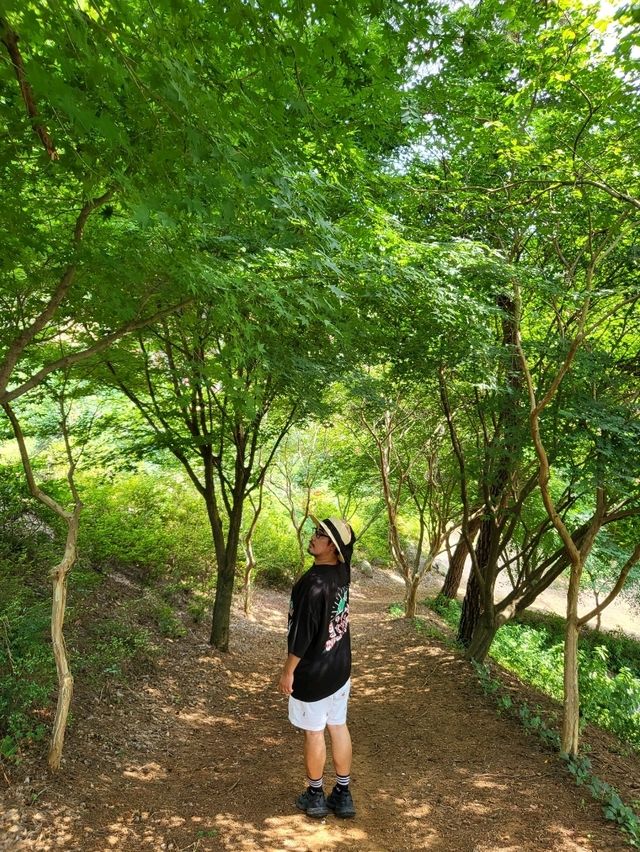 지금 가면 더 예쁠 장성 가을여행지
