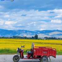 Yunnan China 