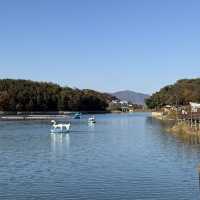 [포천] 고모리 산정호수공원에서 가을 산책🍁