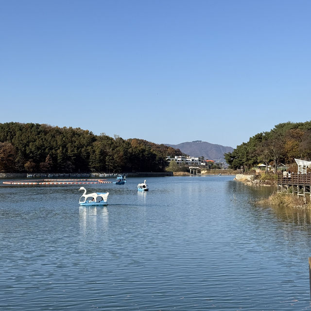 [포천] 고모리 산정호수공원에서 가을 산책🍁