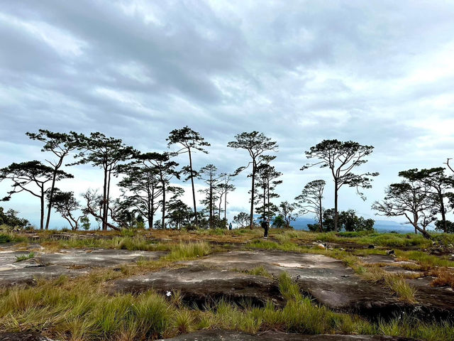 ชมธรรมชาติที่ Bolaven Plateau