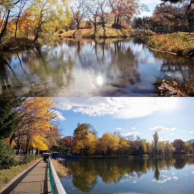 中島公園美景