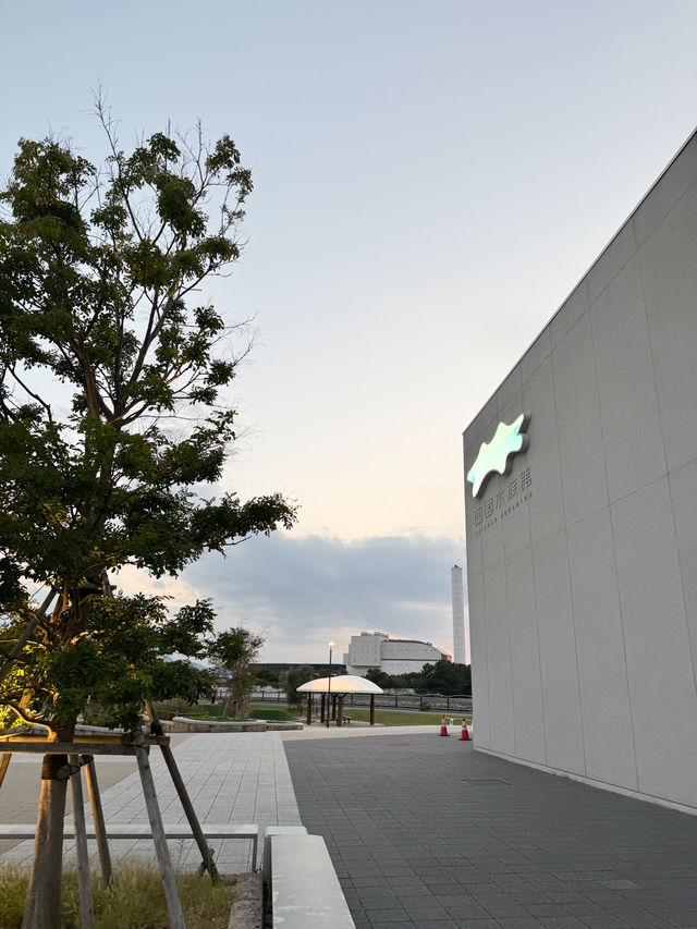 日本景點🇯🇵這個水族館太美了